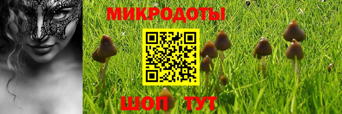 Ржев  Псилоцибиновые грибы Magic Shrooms  Псилоцибиновые грибы Psilocybe  Вход с VPN 